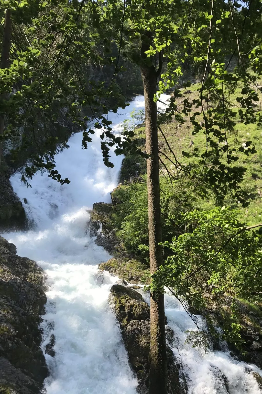 Deluxapartment Simon-Buiten