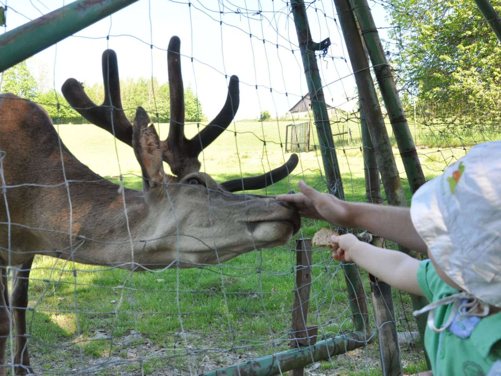 Typ C-Image-tags.info