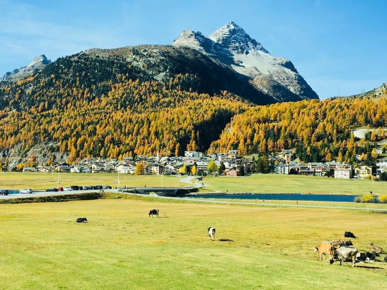 Chesa Palüds-Image-tags.info