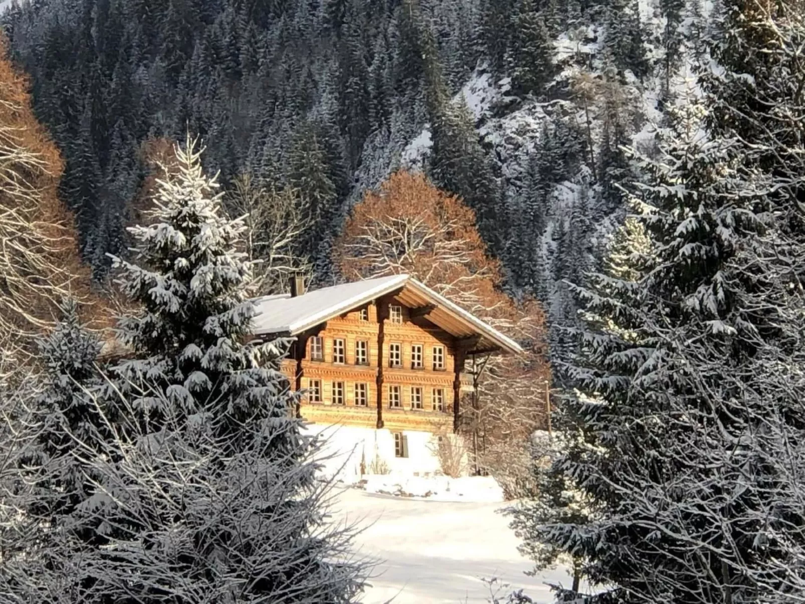 Wohnung Niesenblick-Buiten