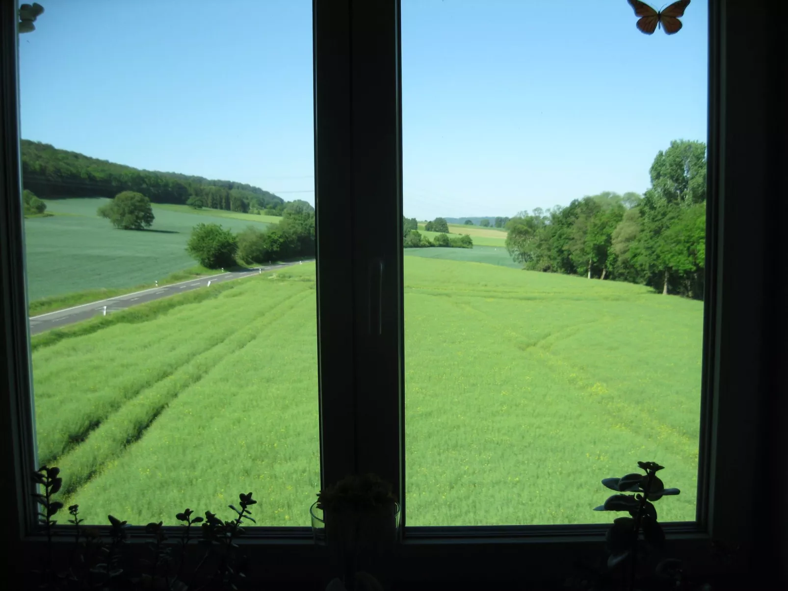 Gästehaus Kühne-Buiten