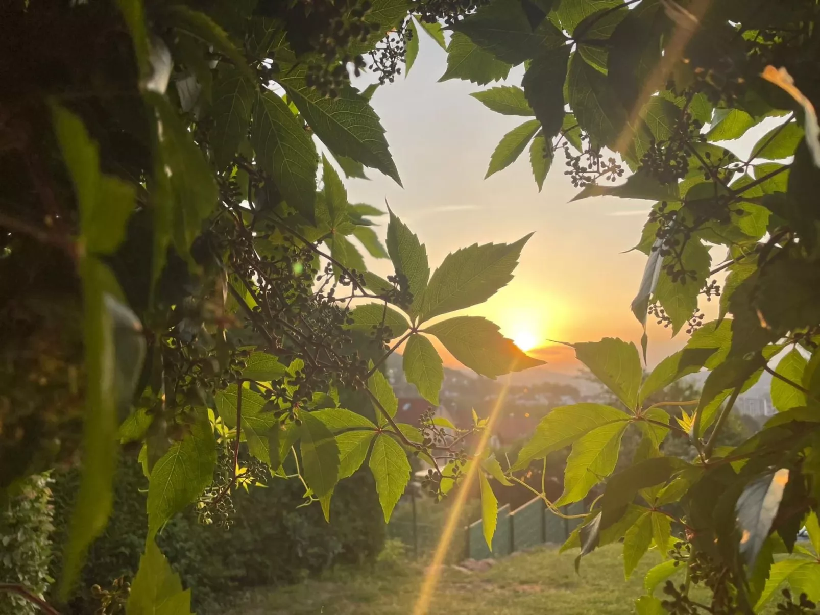 Kleines Ferienhaus mit Garten und Grill in Garitz-Buiten