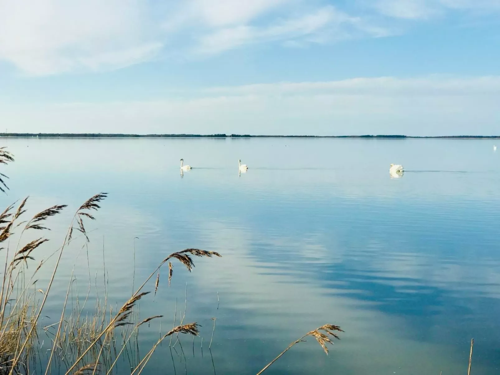 Wiesenblick 5-Buiten