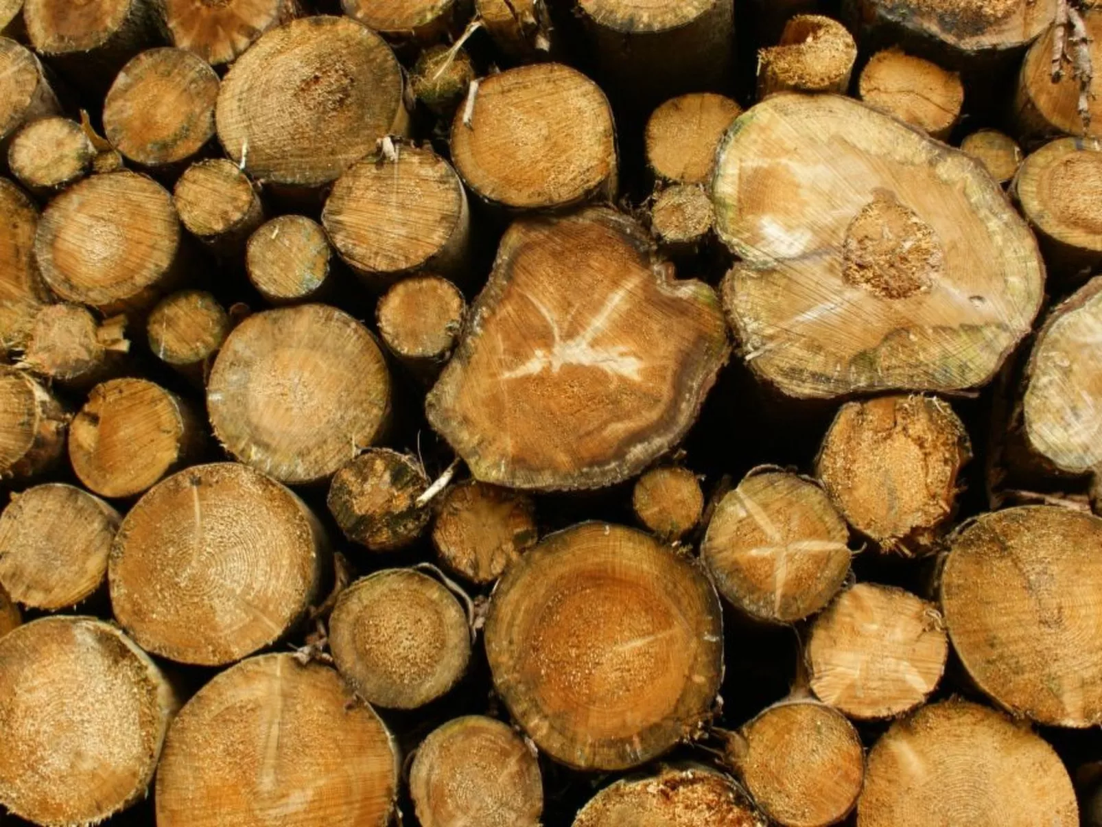 Villa Silberborn A.9 - Image-tags.info