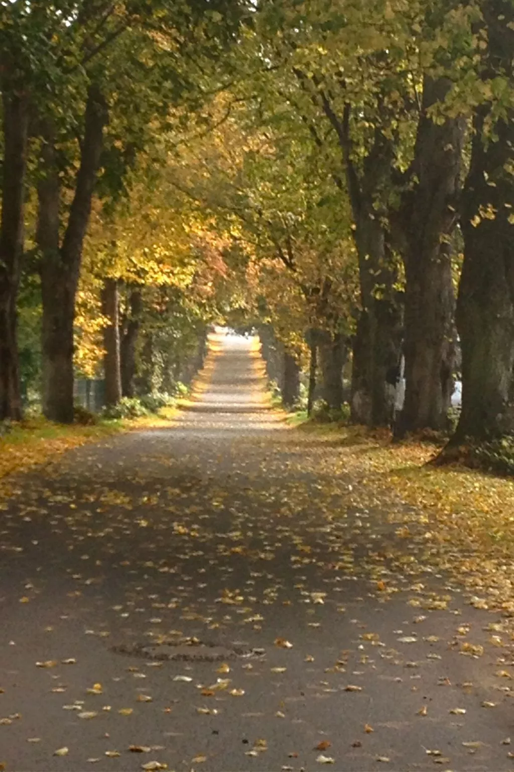 In Patzig mit Großer Terrasse-Buiten
