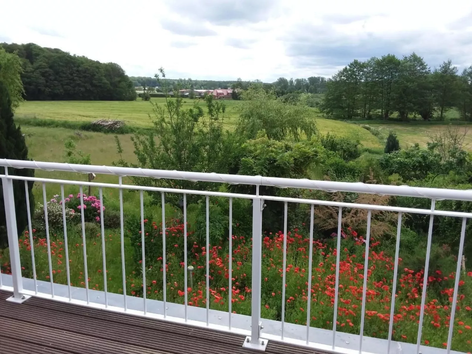 Schmetterling-Image-tags.info