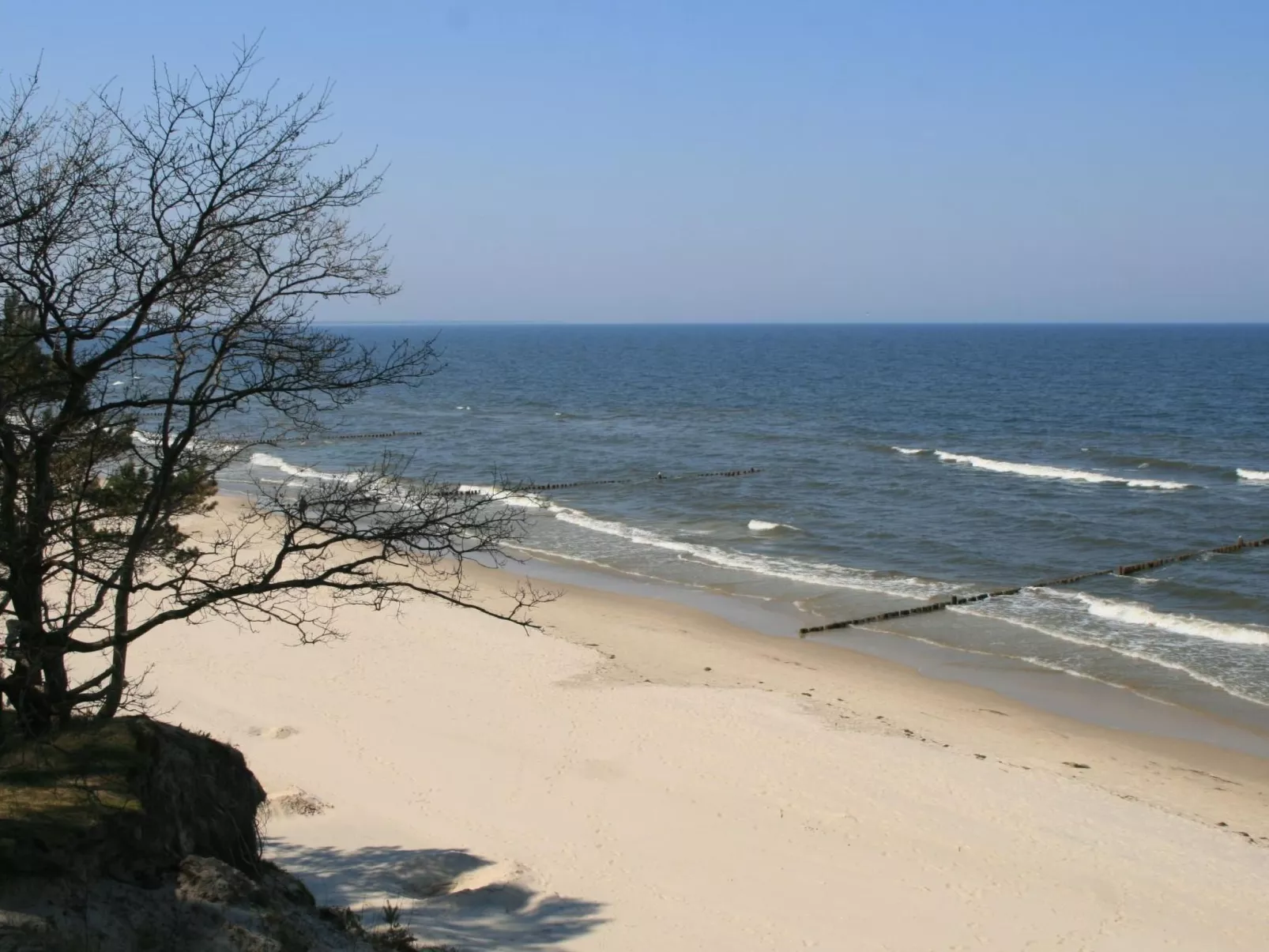 Fewo Waldblick EG-Buiten