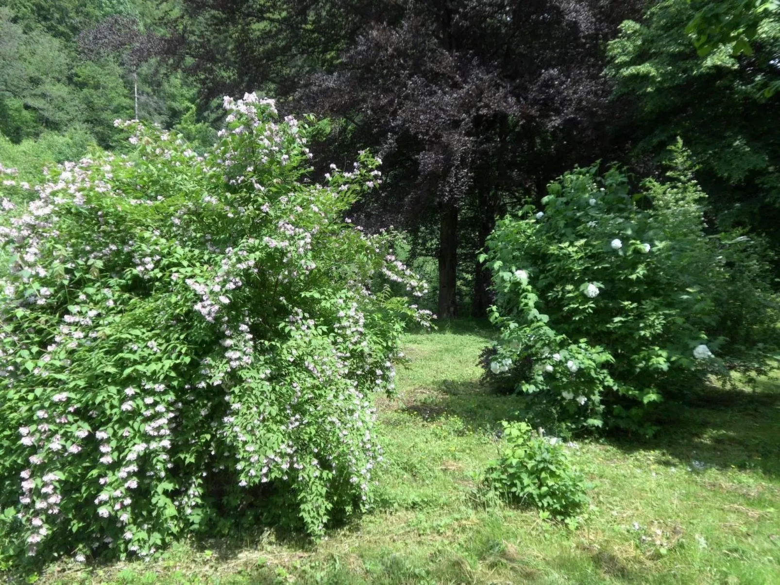 Design Ferienwohnung in historischer Villa-Buiten