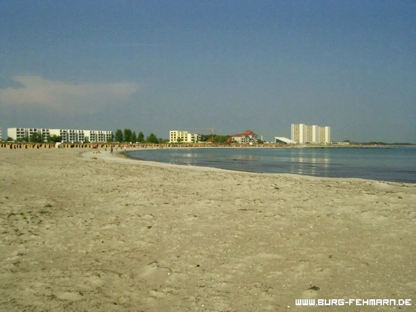 Heringsmöwe in Neue Tiefe-Buiten