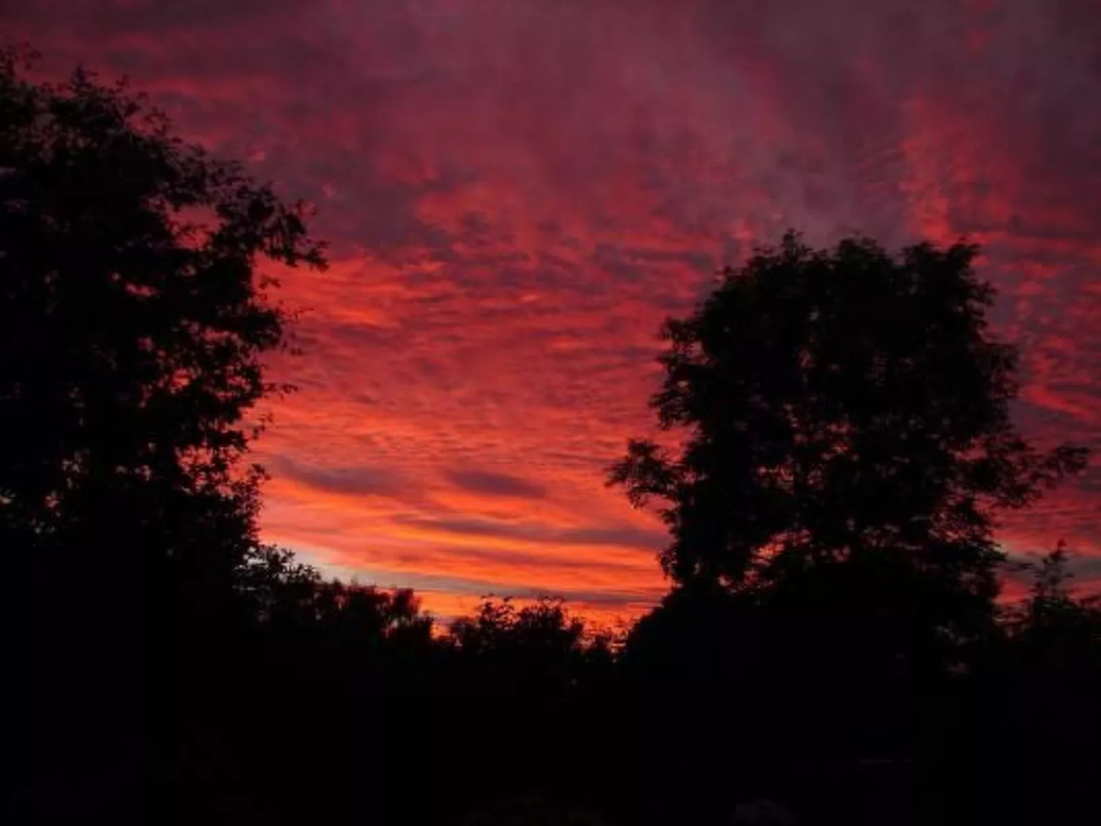 In Winnemark mit Großem Garten-Buiten