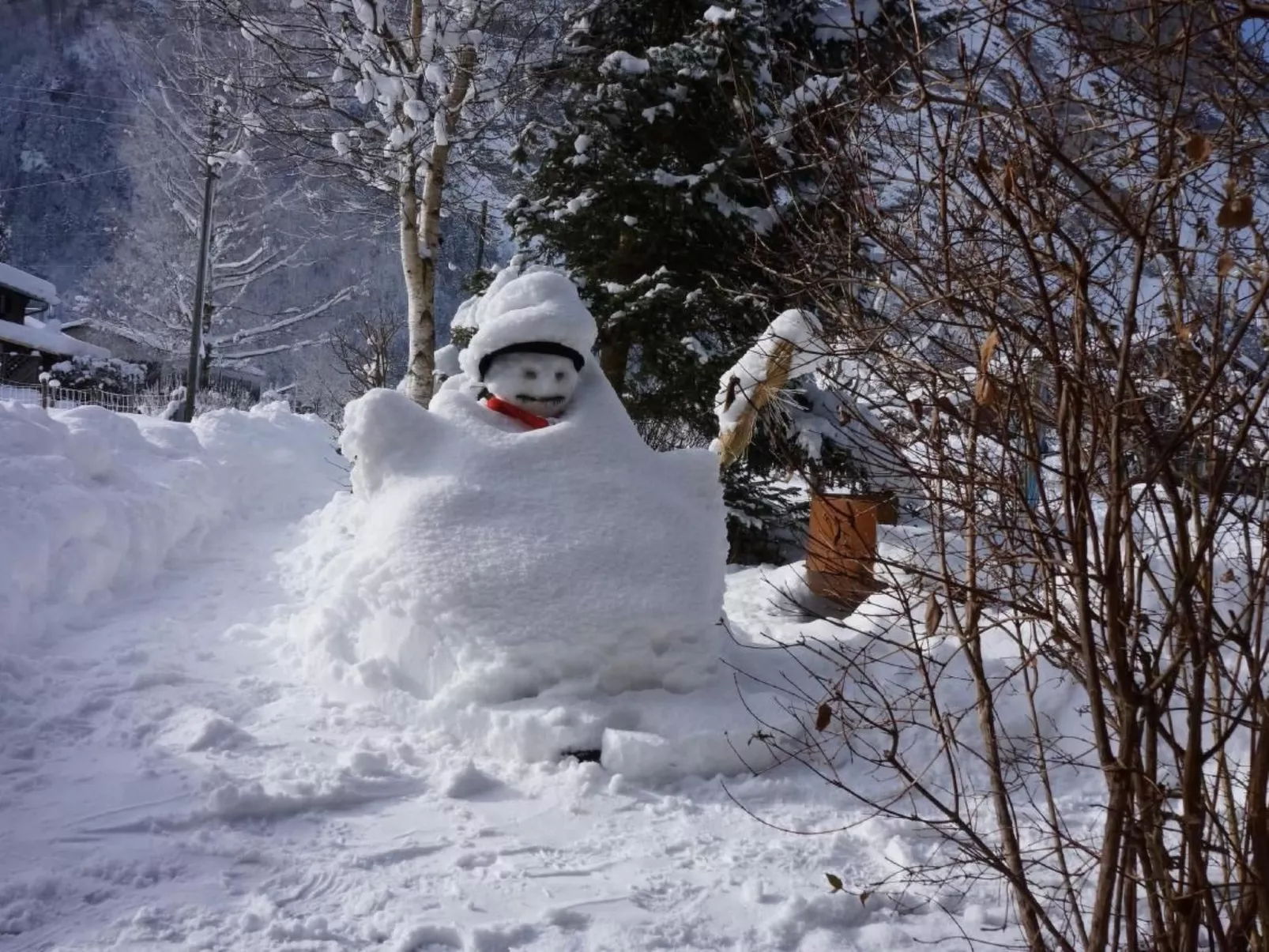 Darioli-Image-tags.info