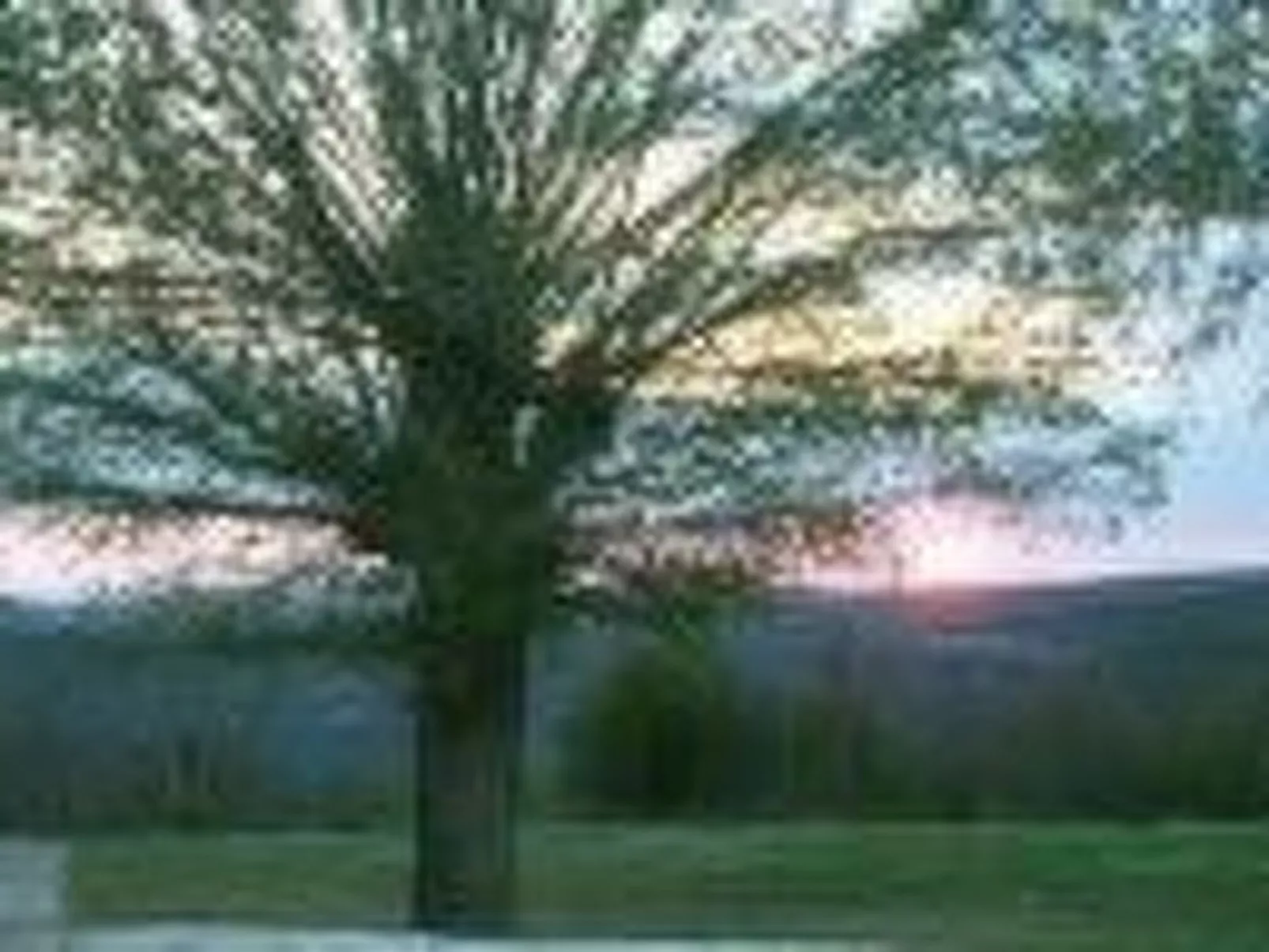 'Villa Grguci' mit eigener Terrasse-Buiten