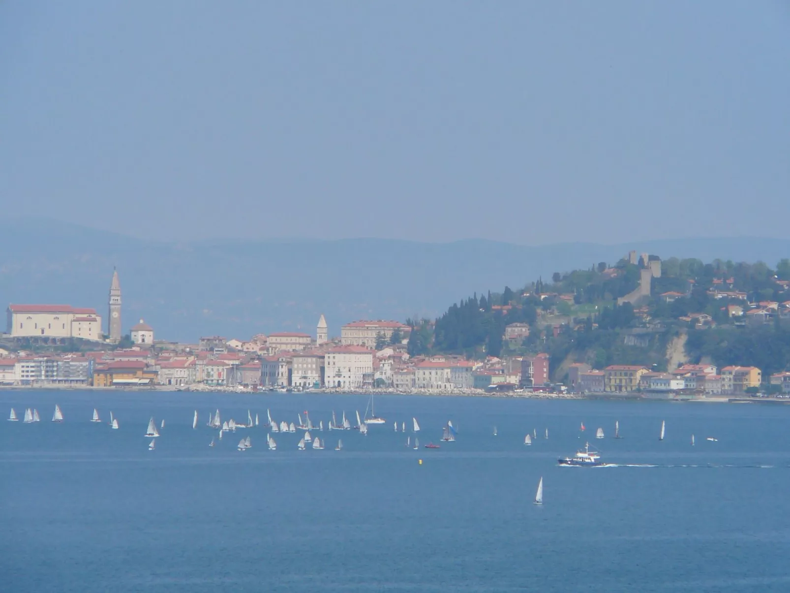 Villa del Golfo, Apartement mit Garten und Pool-Buiten