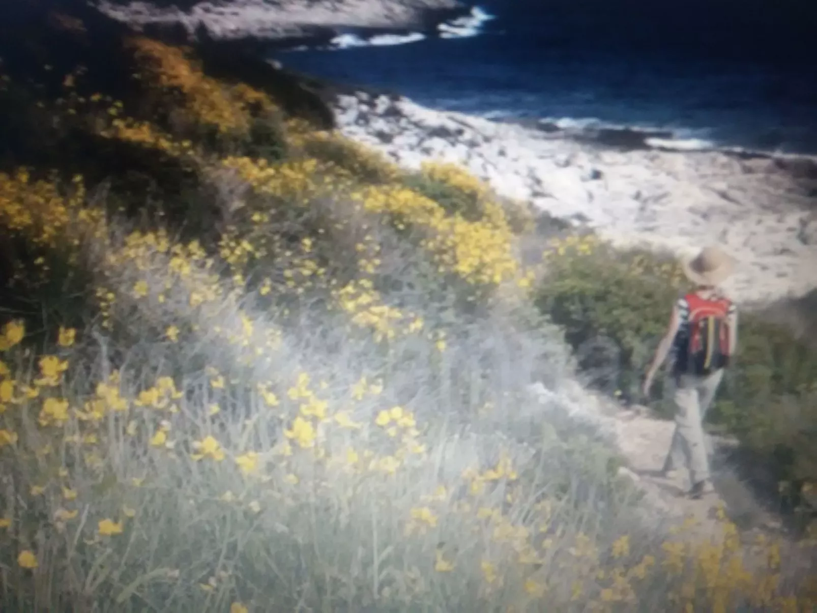 Geräumige Wohnung in der Nähe von Meer und Strand-Buiten