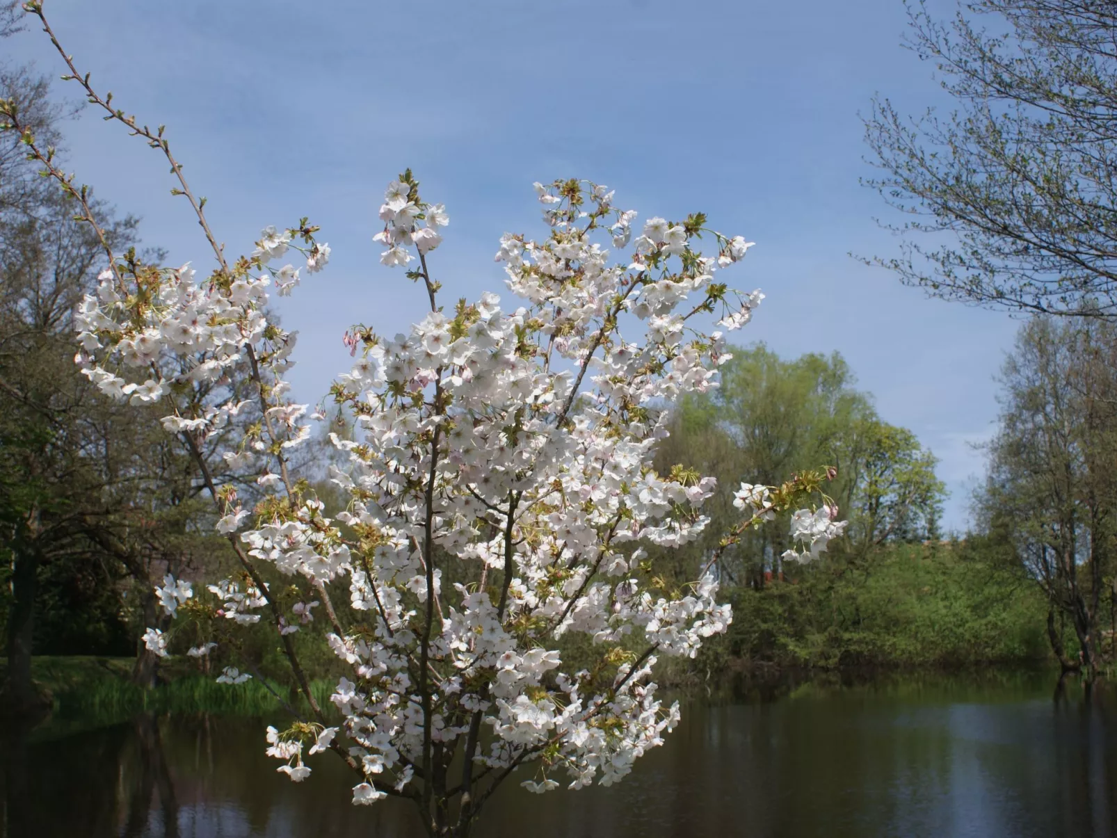 Meer, Landschaft, Stille - Ferienhäuser in den Gärten von Magra-Buiten