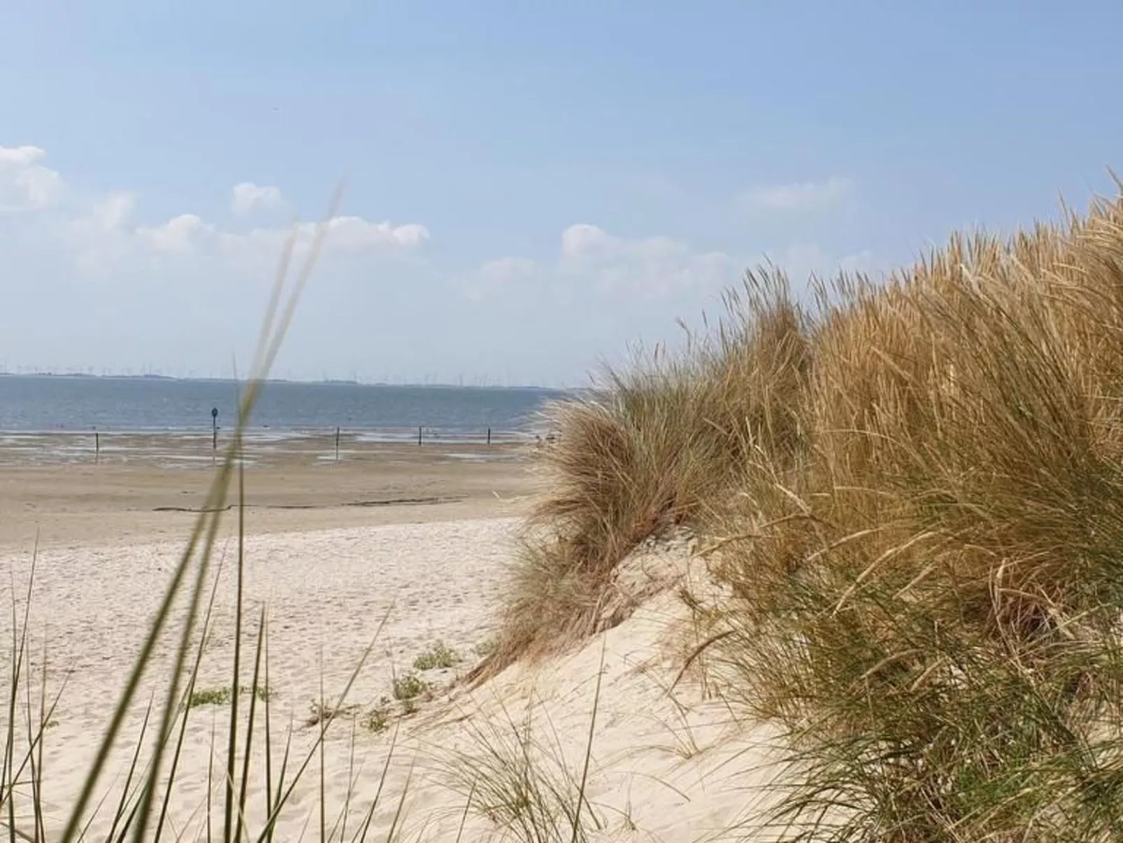 Landskron-Image-tags.info