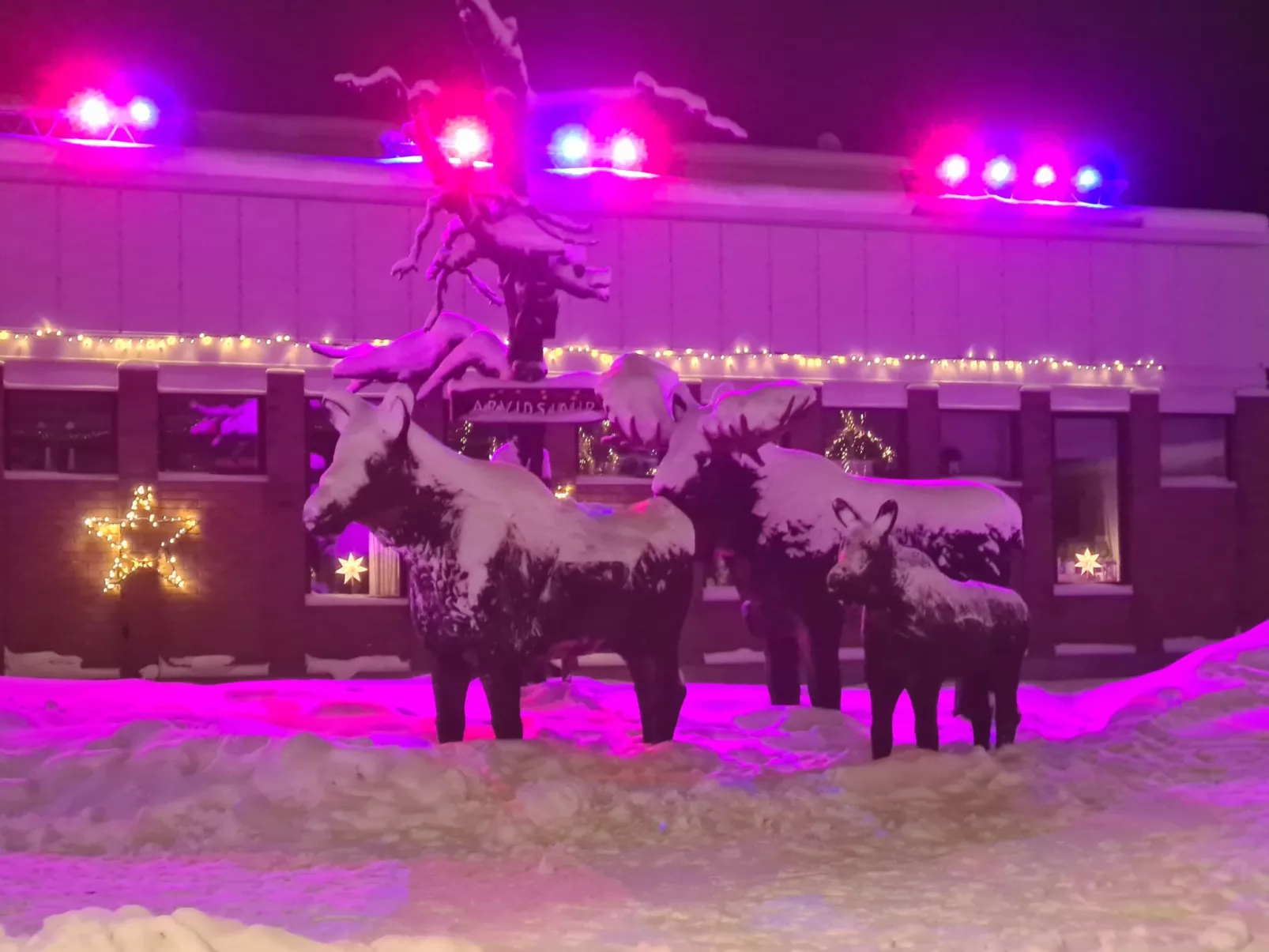 Haus-Lappland-Buiten