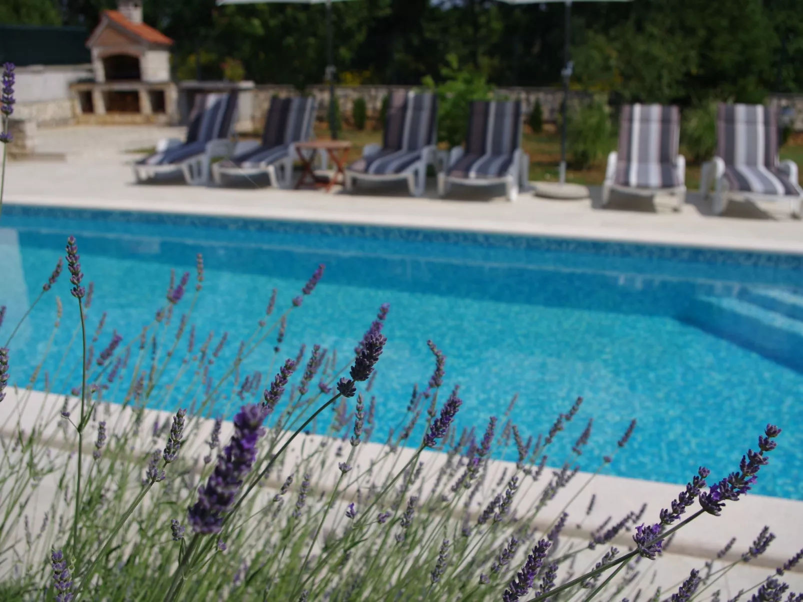 Geräumiges Ferienhaus mit 4 Schlafzimmern und privatem Pool-Image-tags.info