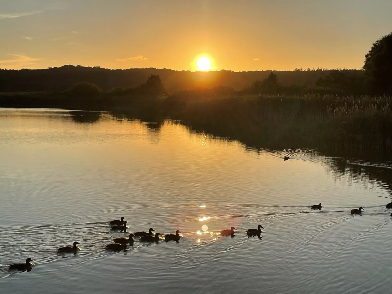 Deichhaus St.Barbara-Buiten