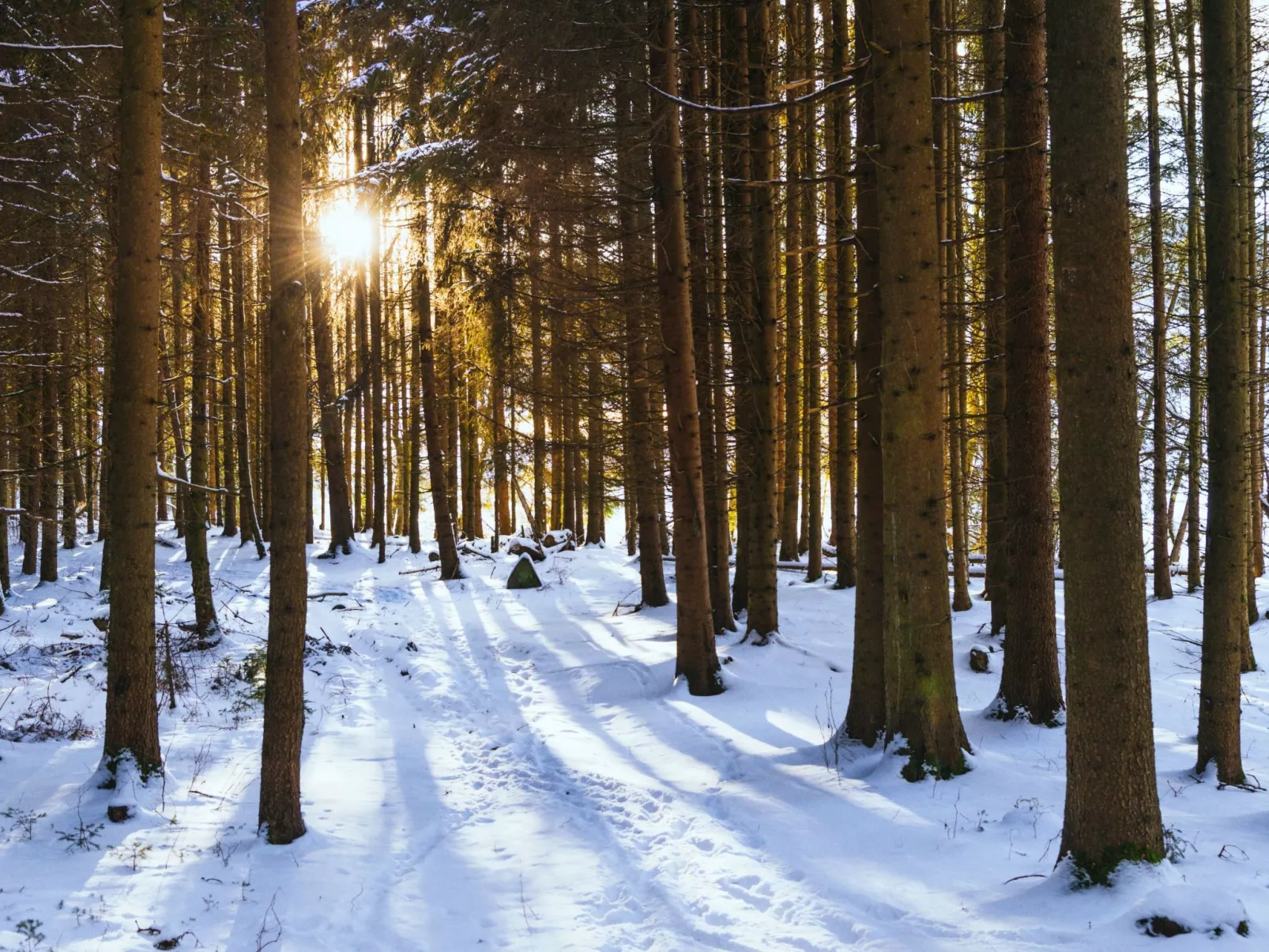 EXCLUSIVE FERIENWOHNUNG MIT EIGENER SAUNA-Image-tags.info