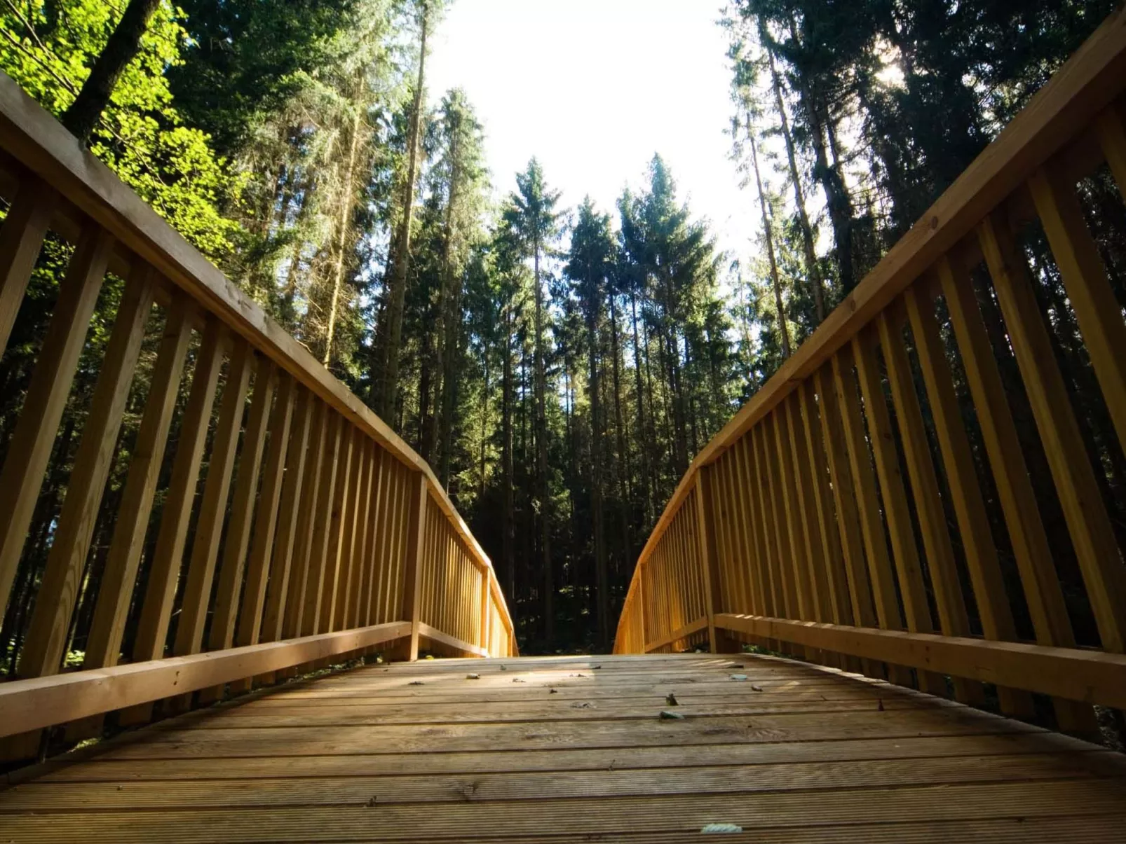 Exklusive Ferienwohnung mit eigener Sauna-Image-tags.info