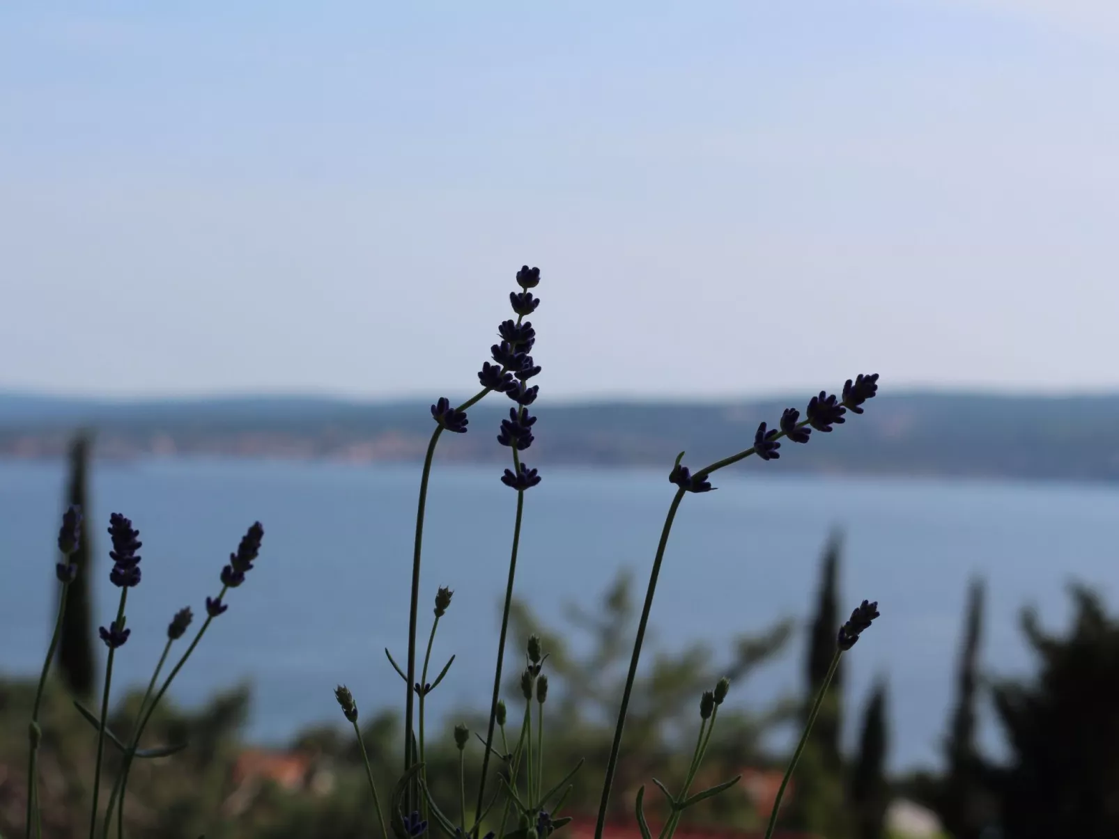 Appartement in Dramalj-Buiten