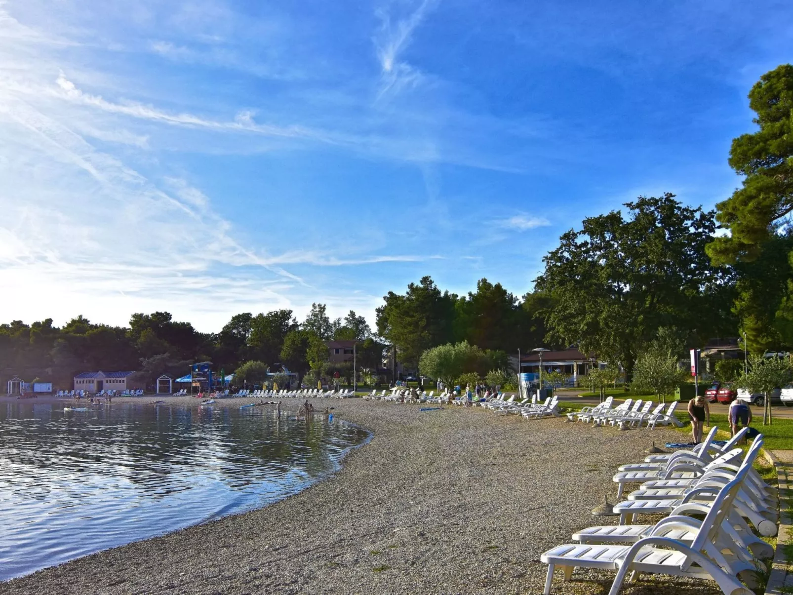 ELIO 7-Image-tags.info