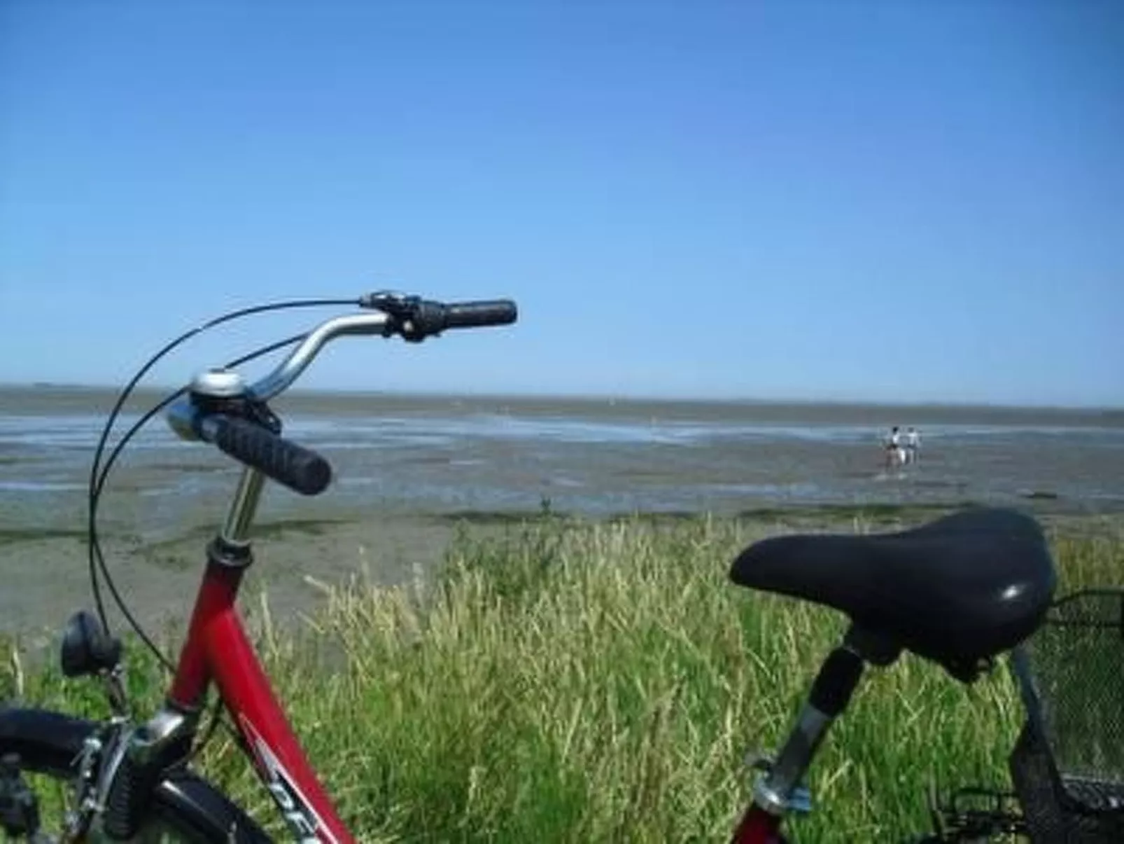 Geräumige Ferienwohnung mit Garten und Grill-Buiten