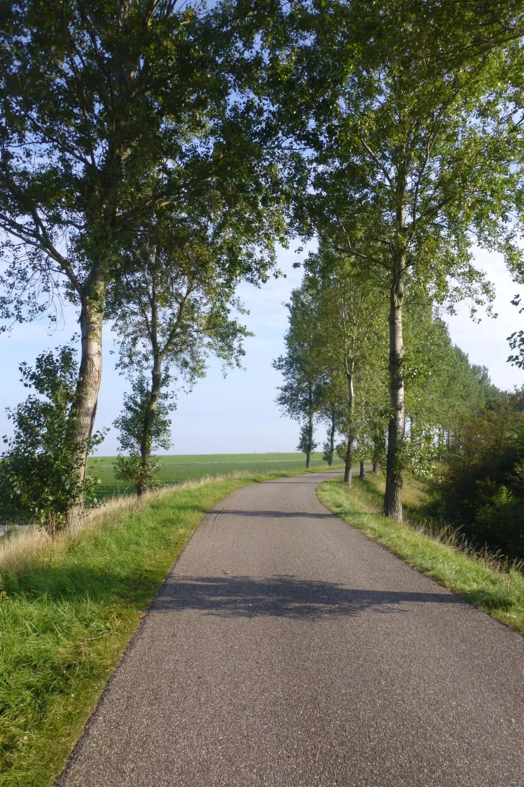 Neuer schöner Bungalow-Buiten