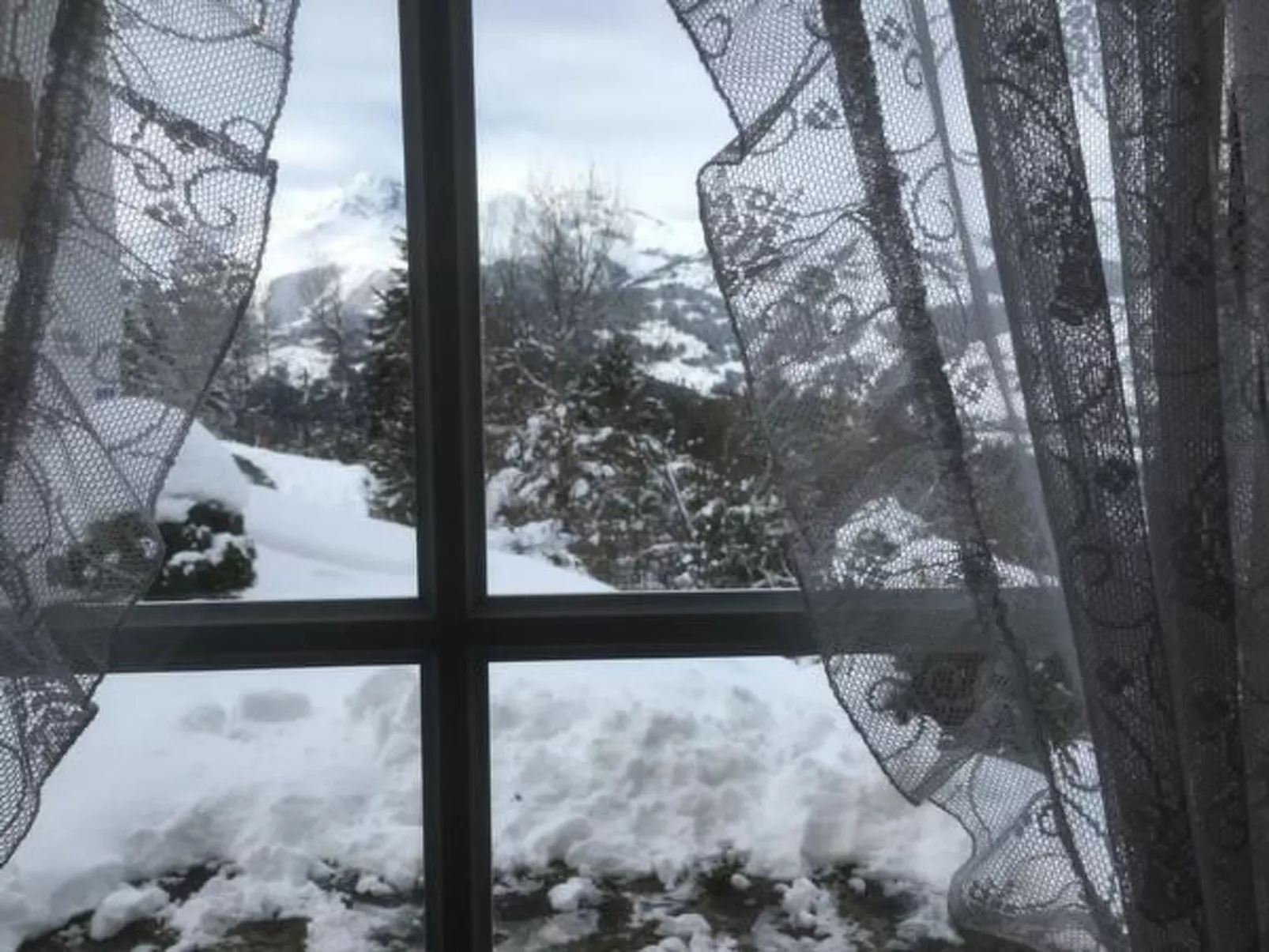 Studio Silberdistel-Buiten