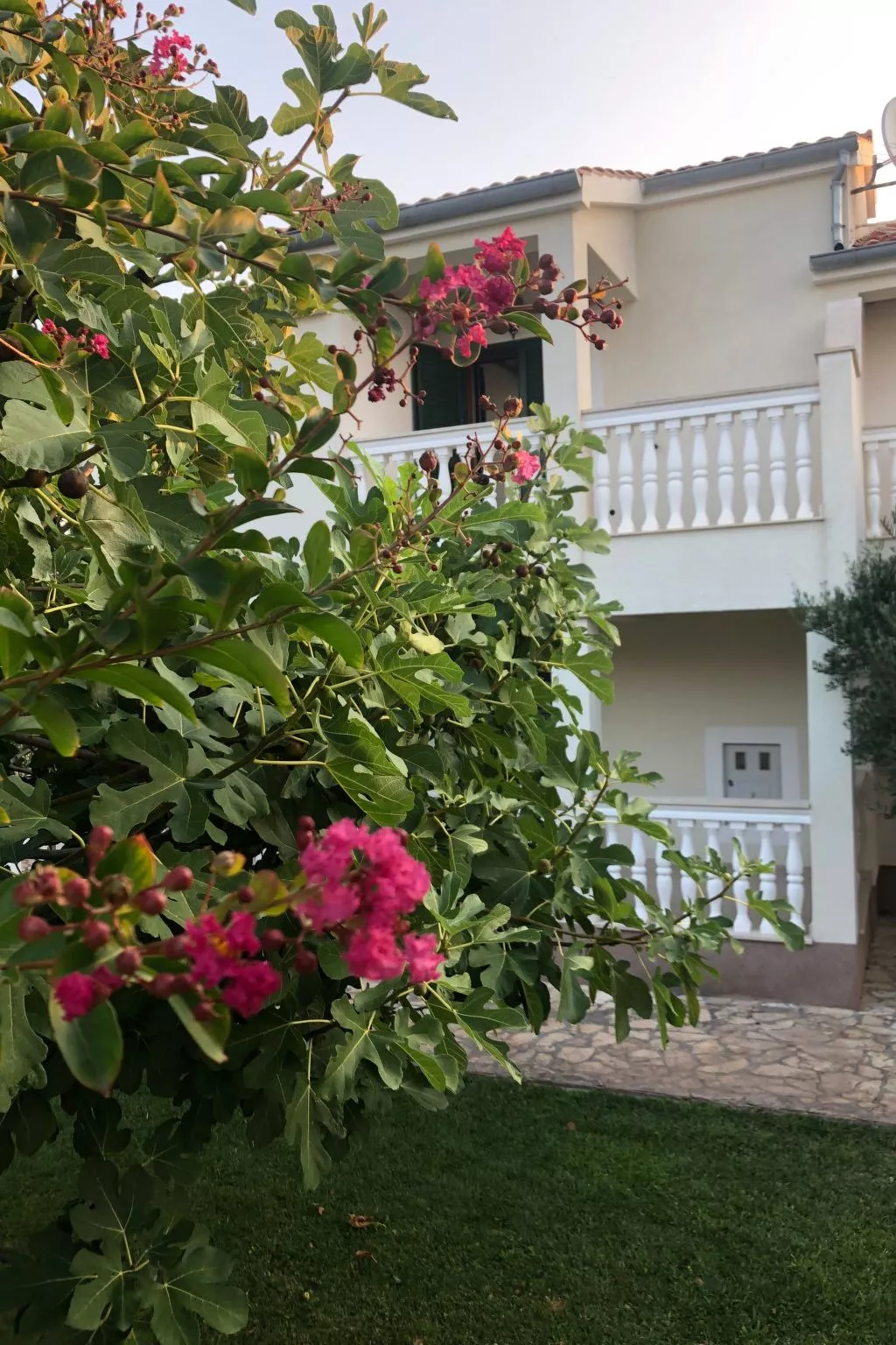 Villa Olive Grove-Buiten