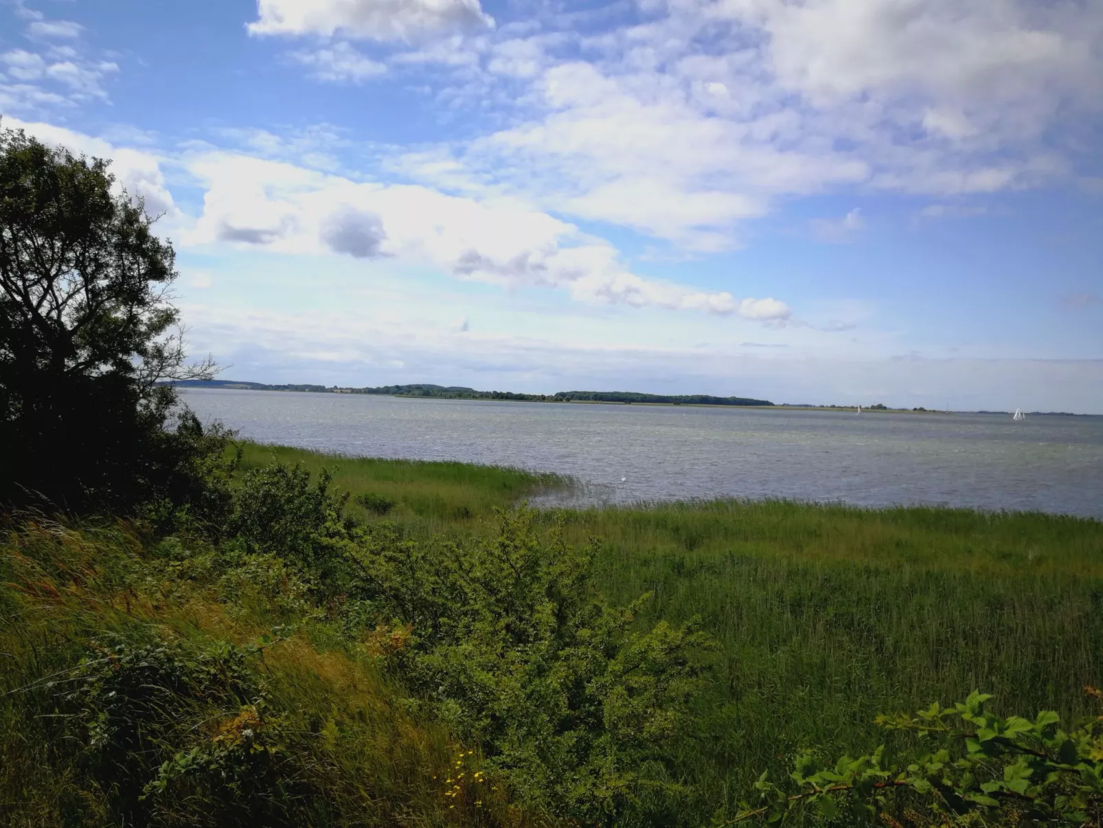 Toddy - Auszeit für Körper und Seele-Buiten