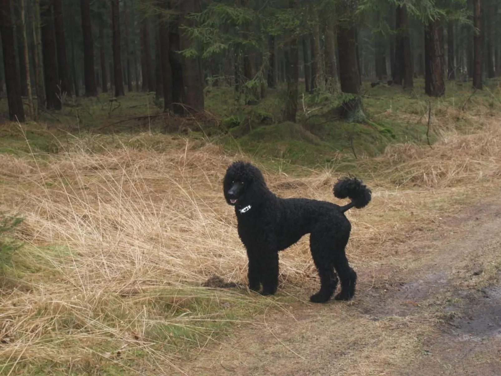Fünfjahreszeiten in Bodstedt-Buiten