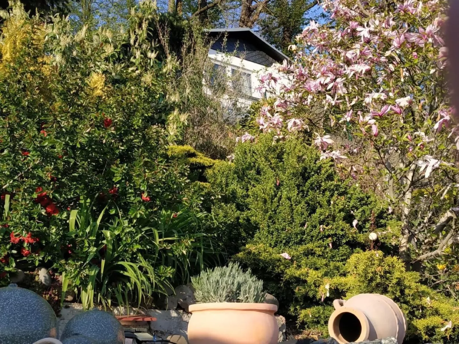 In Pirna mit Schöner Terrasse-Image-tags.info