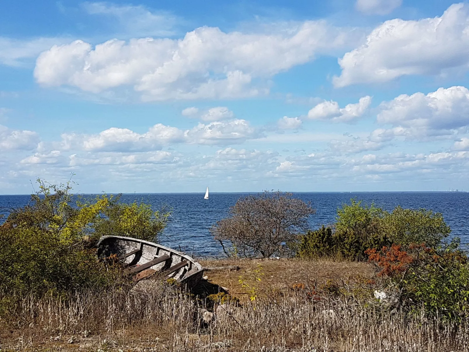 Sjötorpet - einzigartige Unterkunft am Meer-Buiten