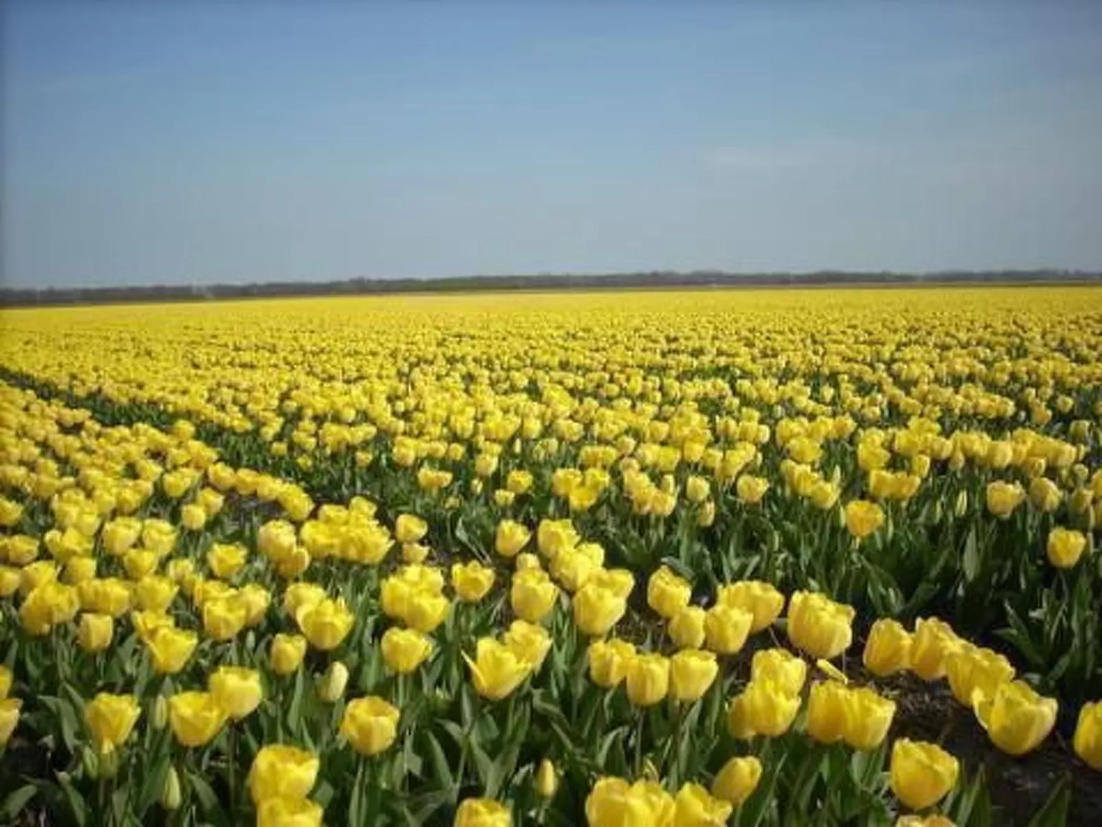 "Windhoos" mit privatem Garten und Terrasse-Image-tags.info