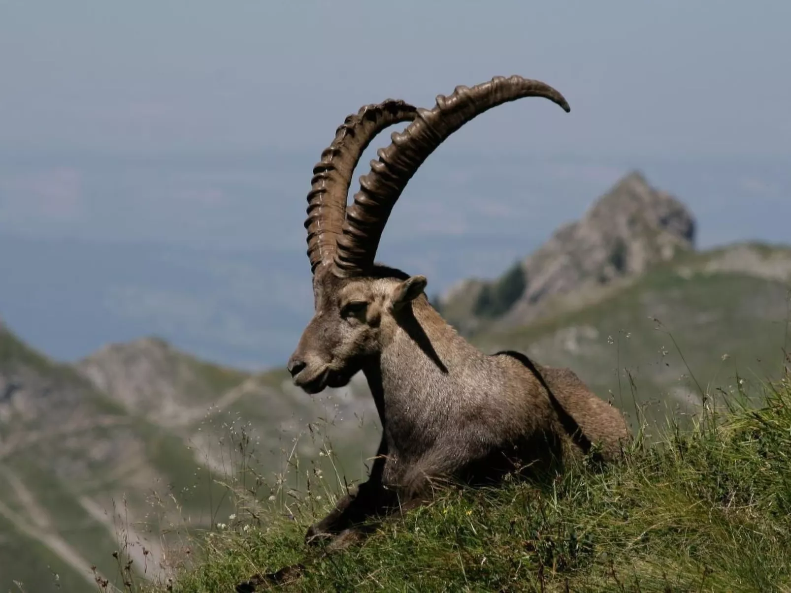 Gehrihornblick-Image-tags.info