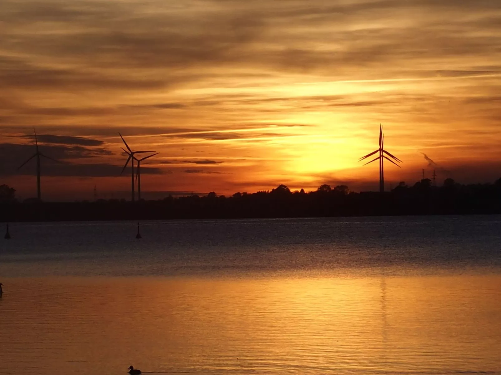 Moderne Ferienwohnung mit Balkon, nur 500 Meter von Meer und Strand entfernt-Buiten
