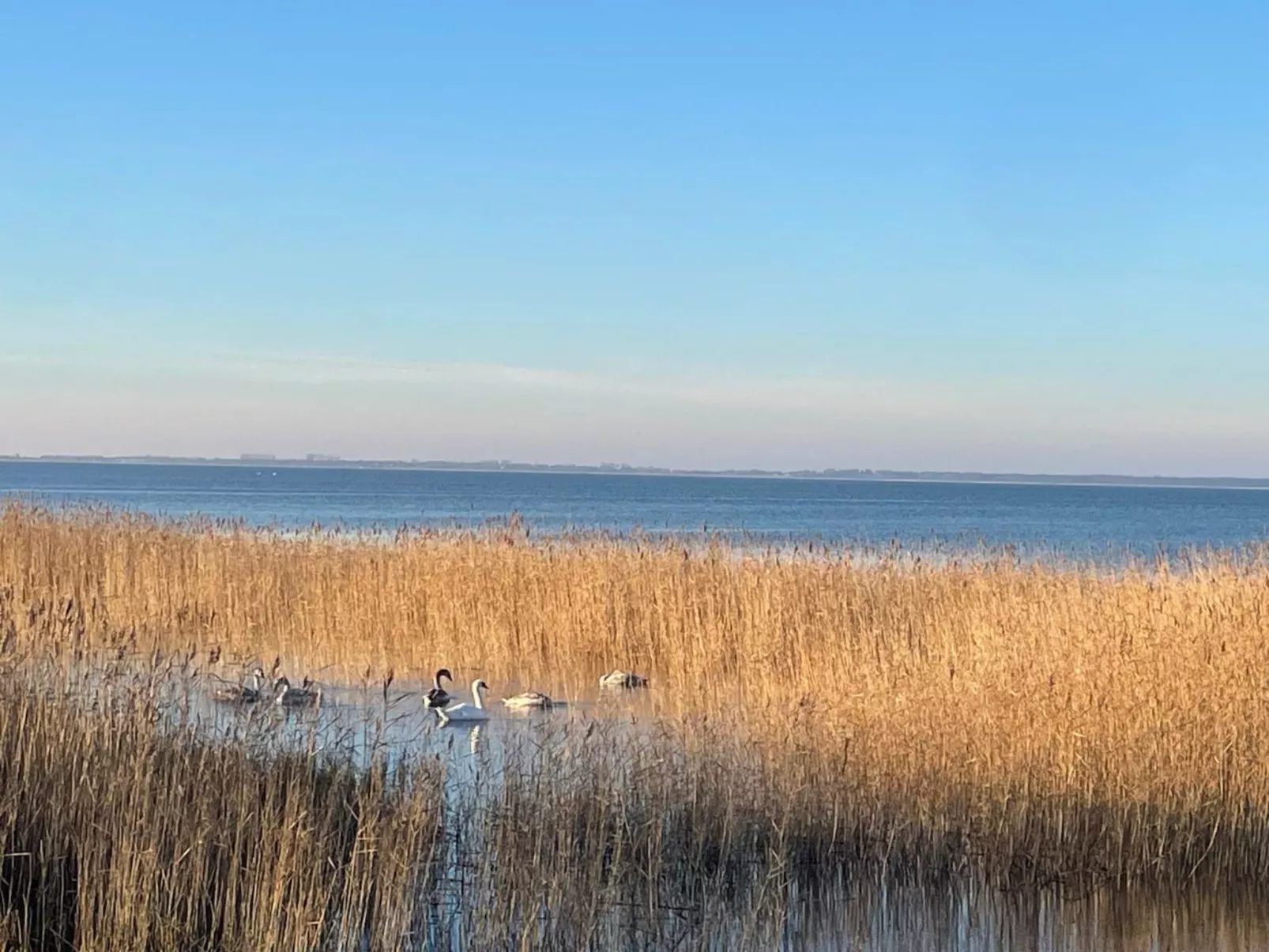 Haus Saaler Bodden-Buiten