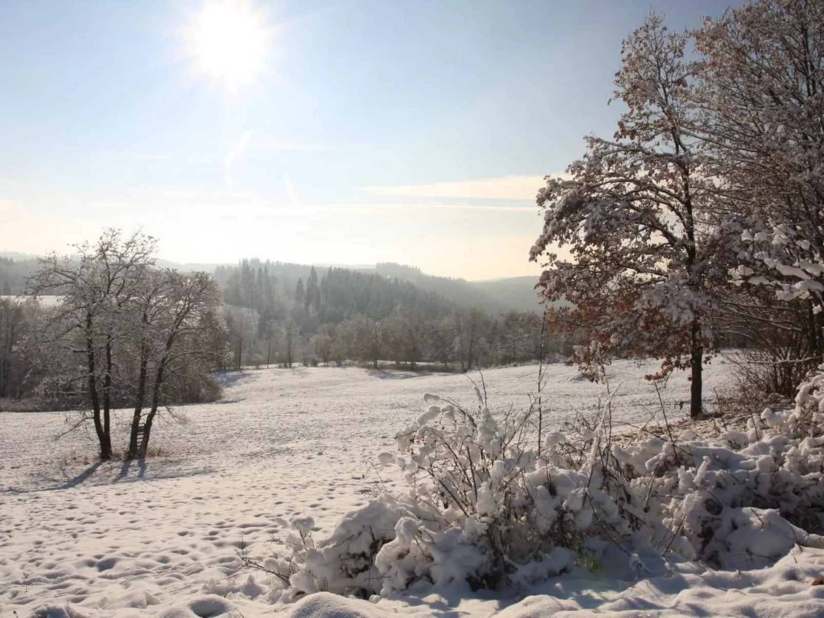Urlaubsdomizil-Harz-Buiten
