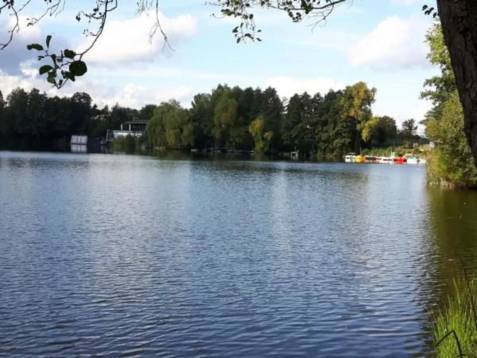 Haus Wellness-Image-tags.info