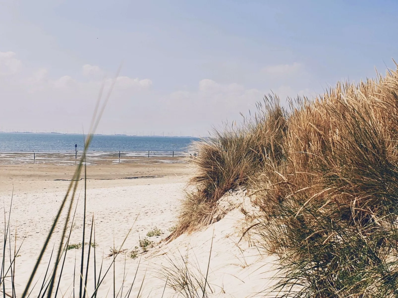 Landskron-Image-tags.info