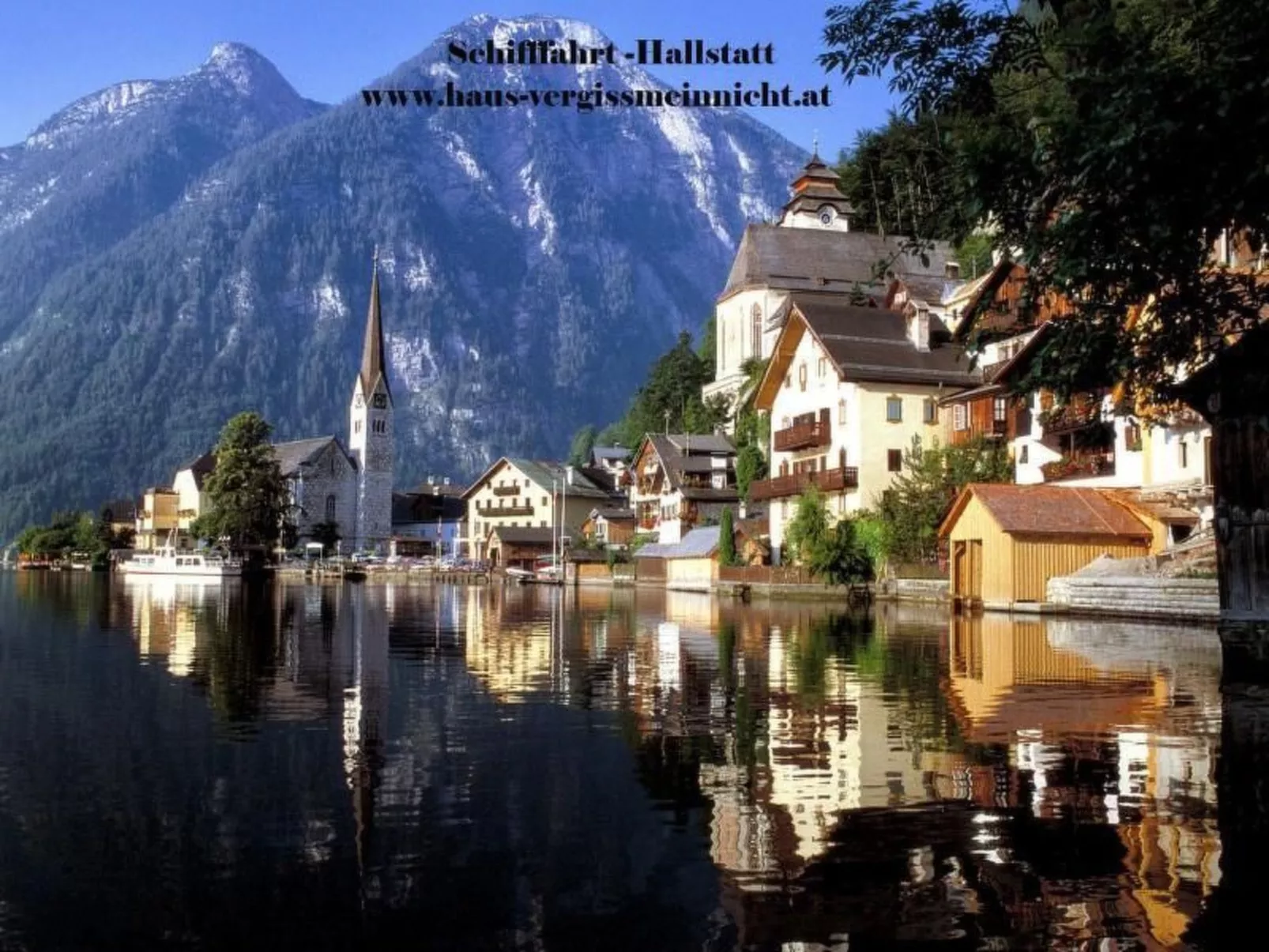 Bernstein-Image-tags.info