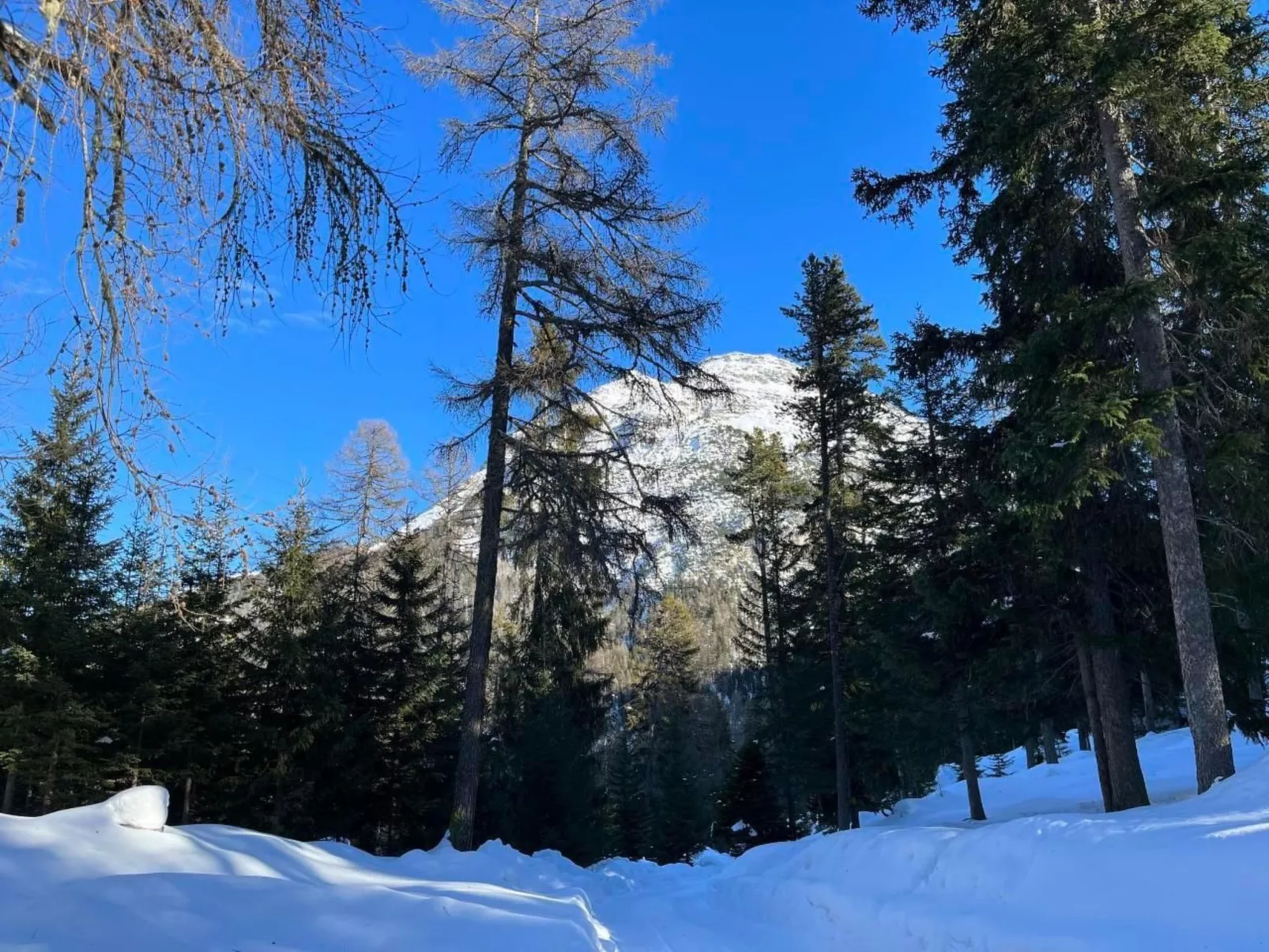 Chesa Giannuot-Image-tags.info