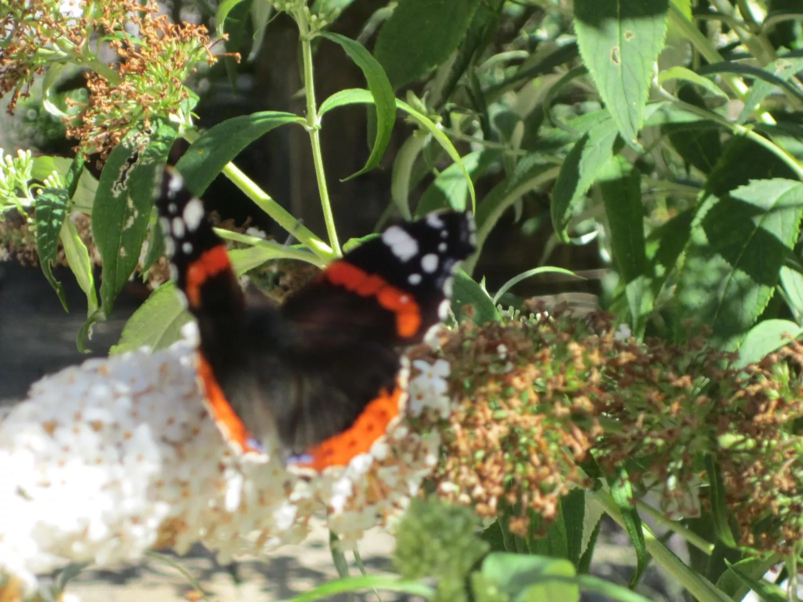 Ferienwohnungen Hohl-Binnen