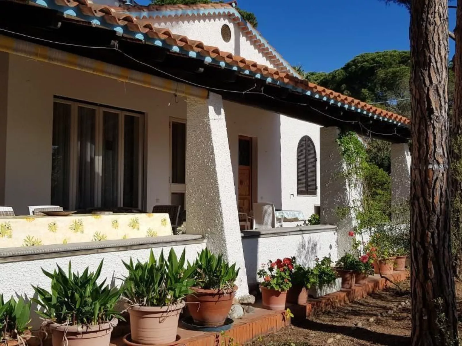 Mare e Pineta-Binnen