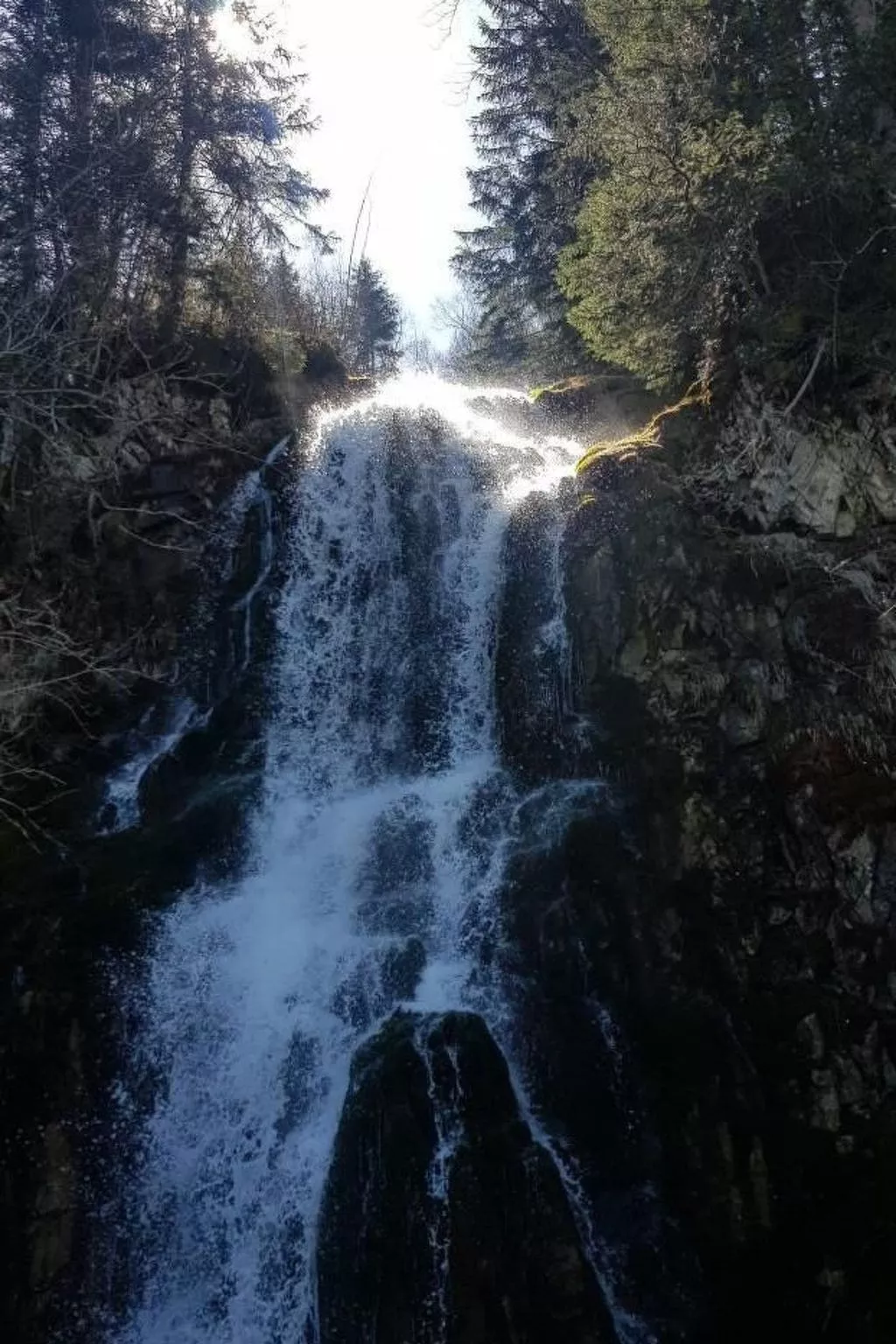 Kolibri Hochparterre-Buiten