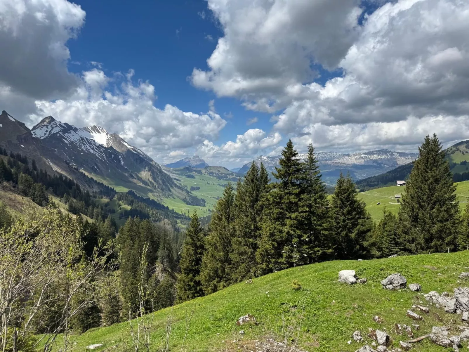 Moderne Ferienwohnung HEIMATLI mit 1 Schlafzimmer-Buiten