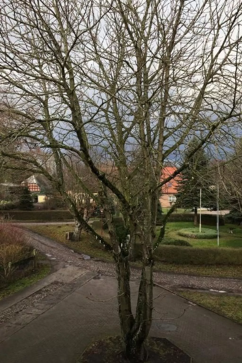 Kastanienblick-Buiten