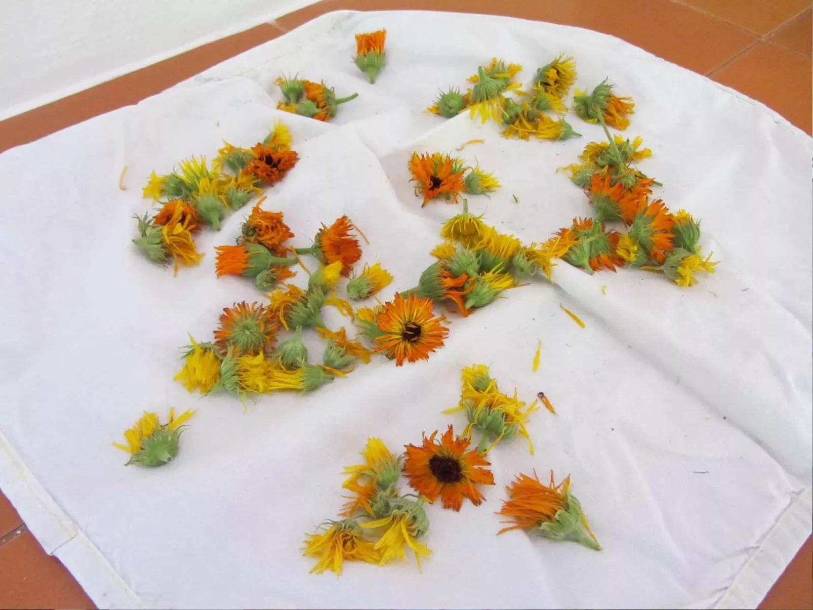 Geräumiges Ferienhaus inmitten der Natur-Image-tags.info